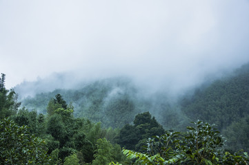 河南施耐力生物科技有限公司怎么样？